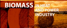 biomass in heat